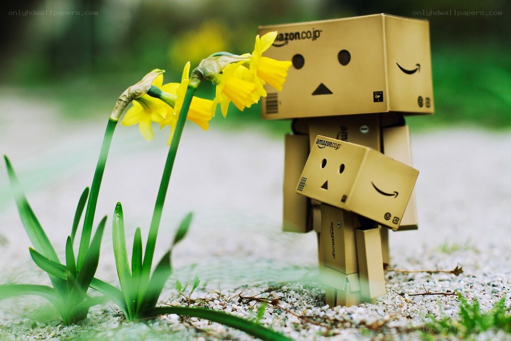 Danbo with daffodils