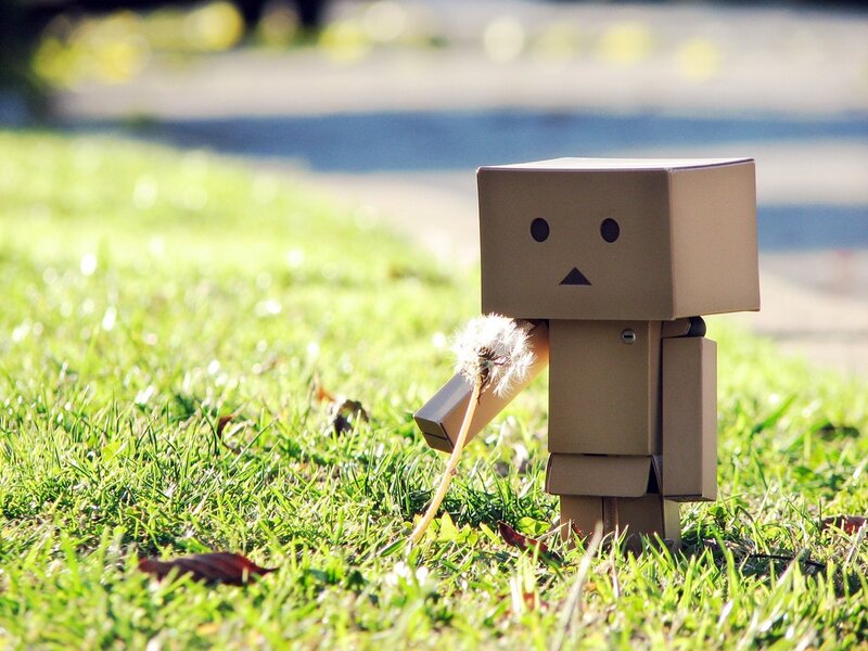 Danbo with dandelion