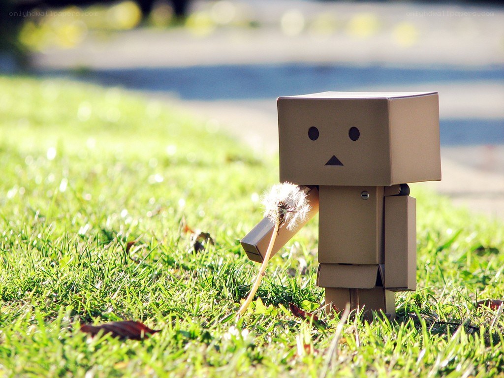 Danbo with dandelion