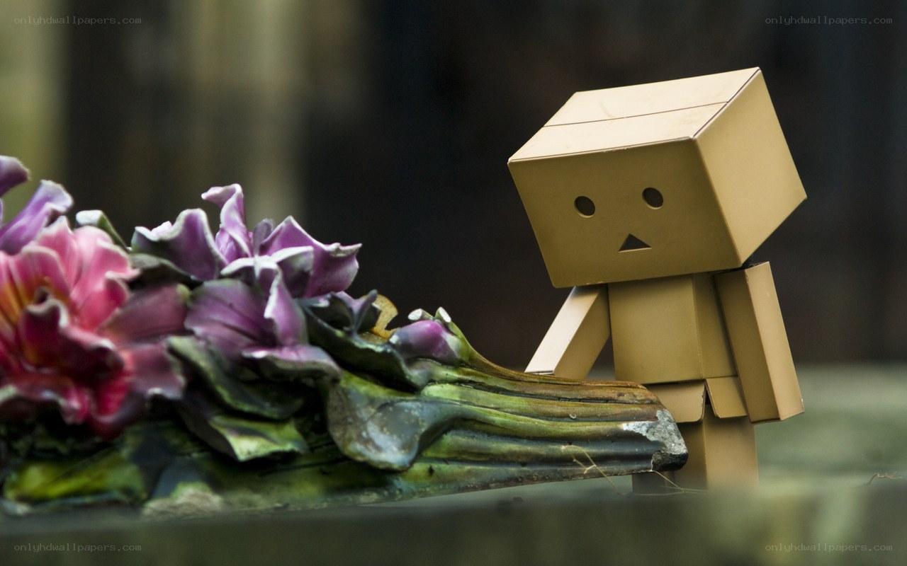 Danbo with flowers