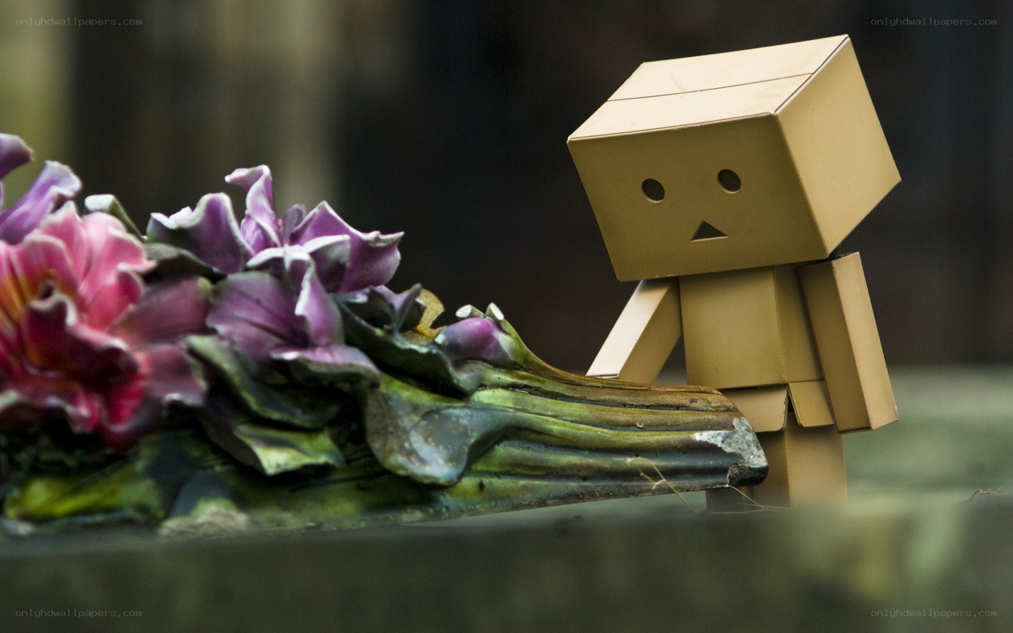 Danbo with flowers