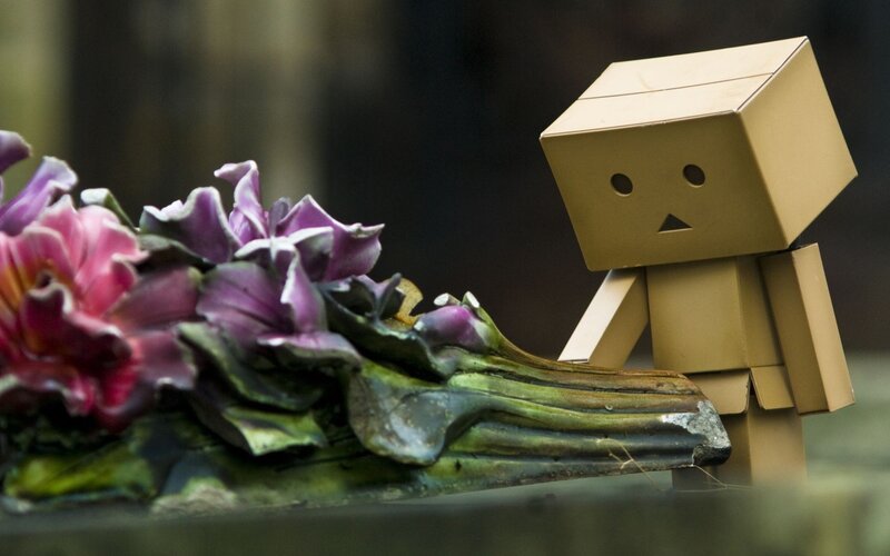 Danbo with flowers