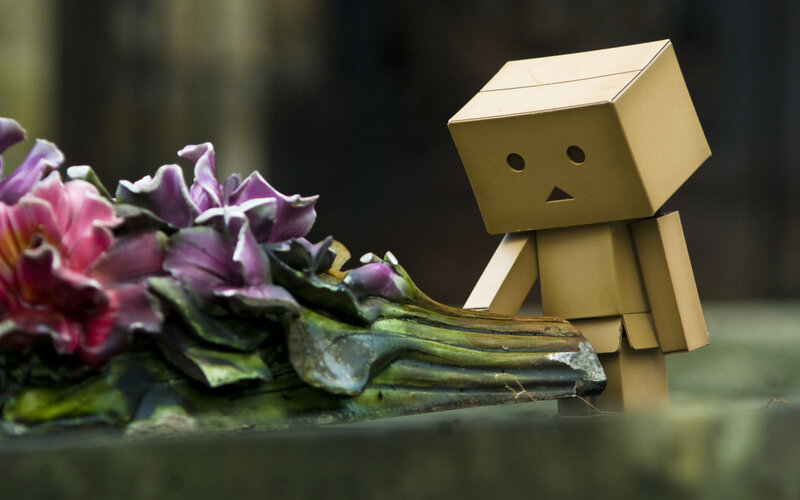 Danbo with flowers