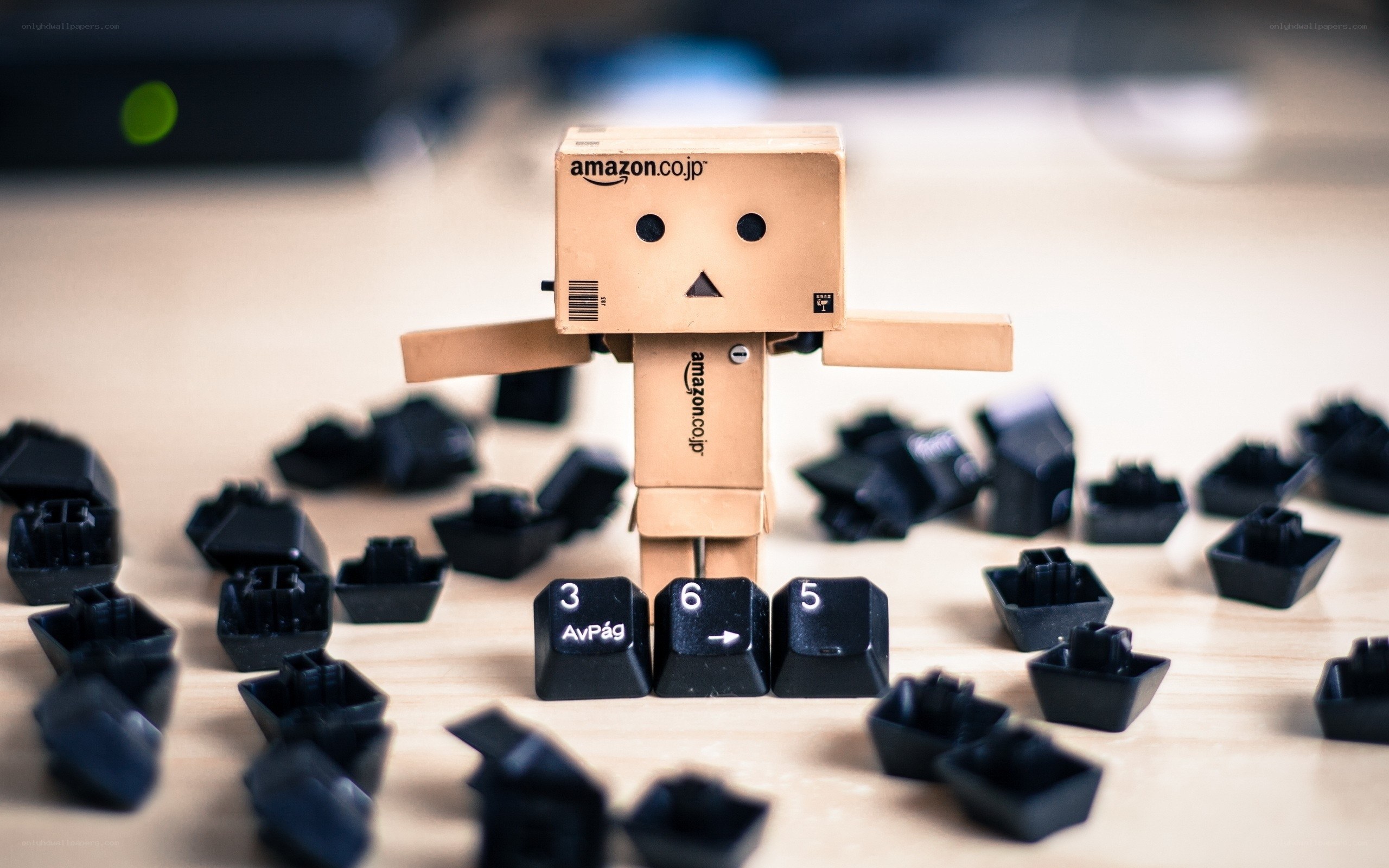 Danbo with keyboard keys