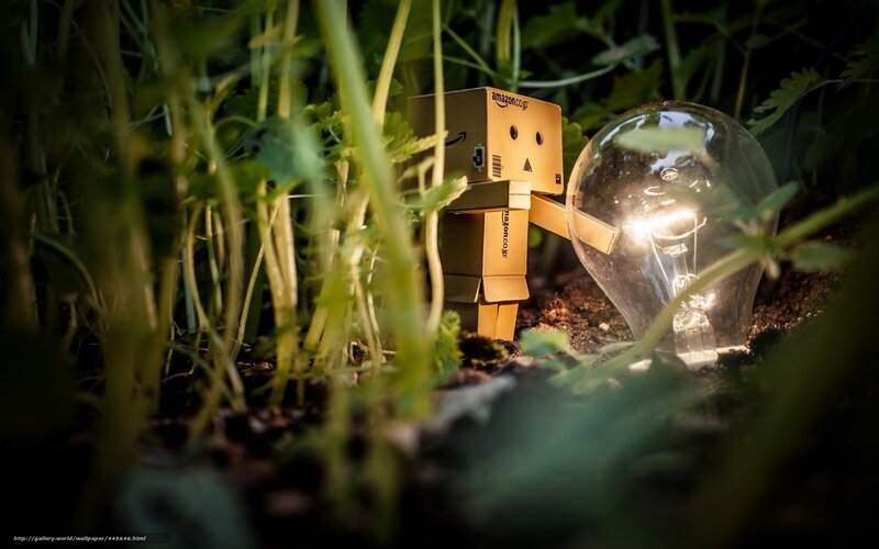 Danbo with light bulb