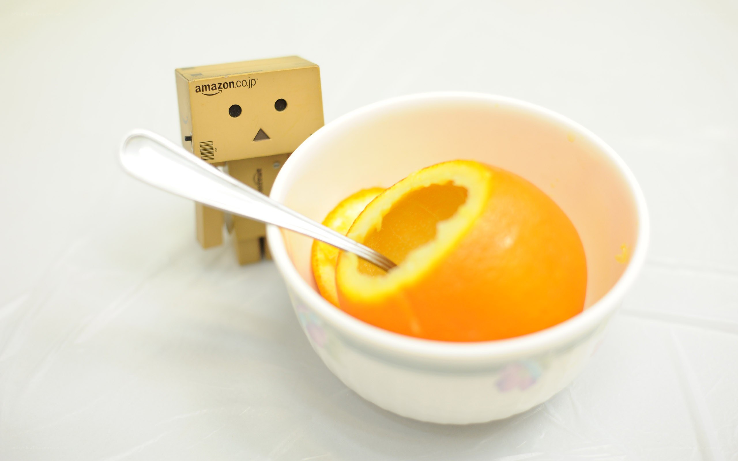 Danbo with orange in bowl