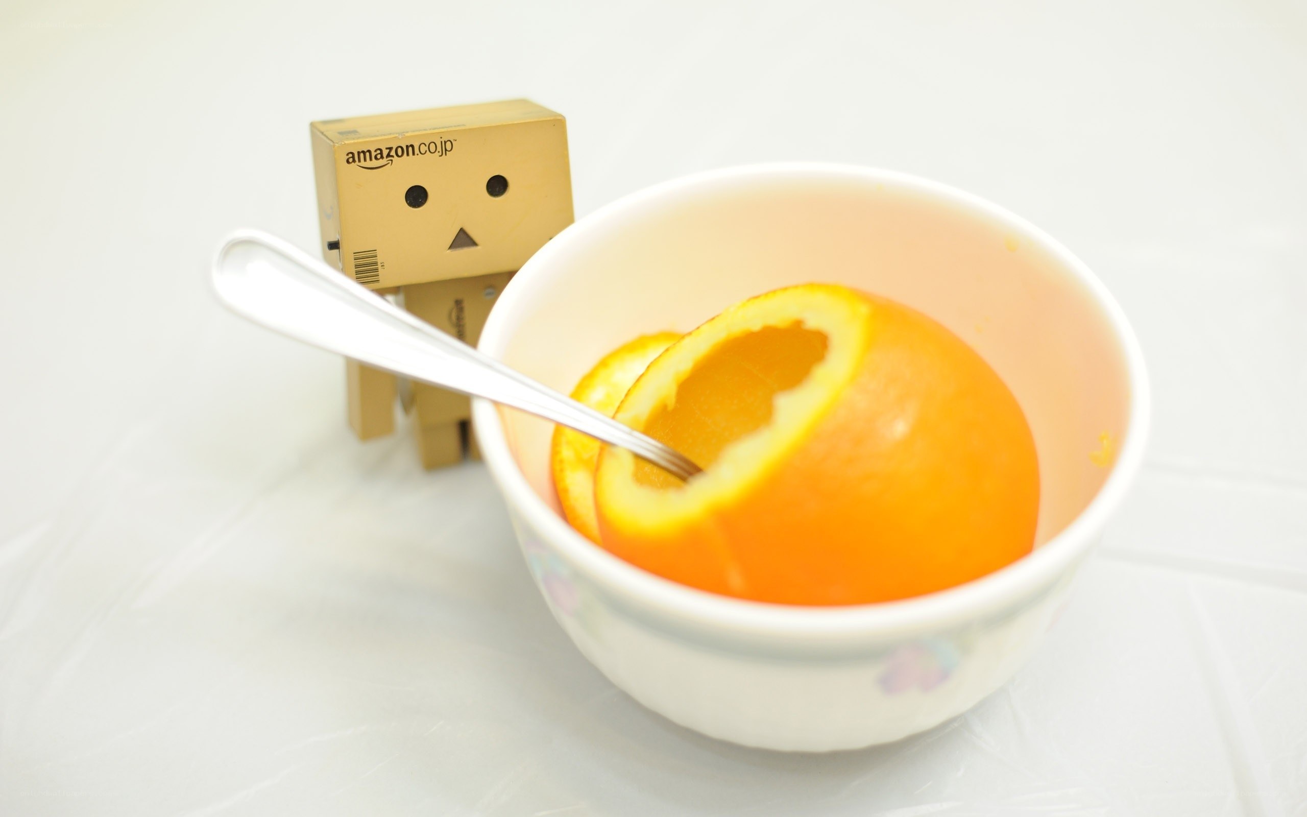 Danbo with orange in bowl