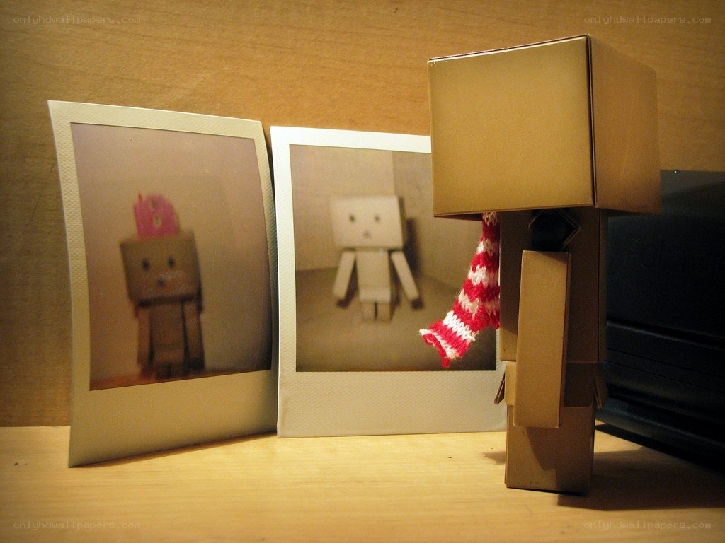 Danbo with photos