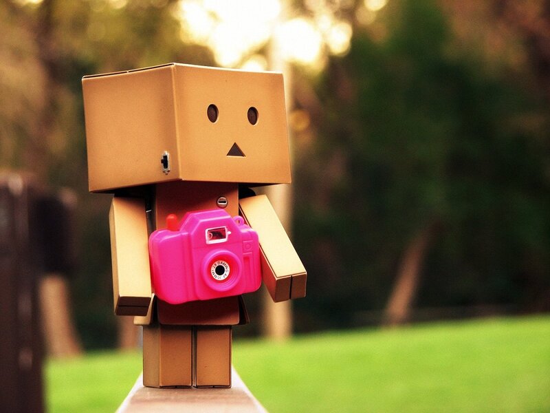 Danbo with pink camera