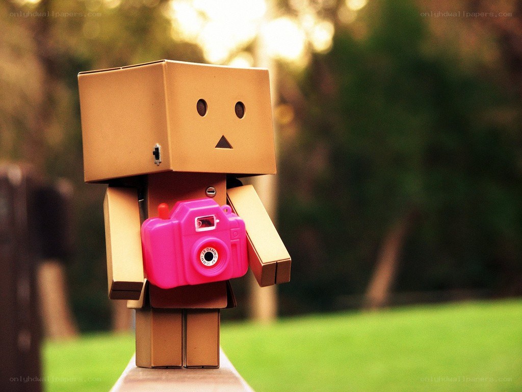 Danbo with pink camera