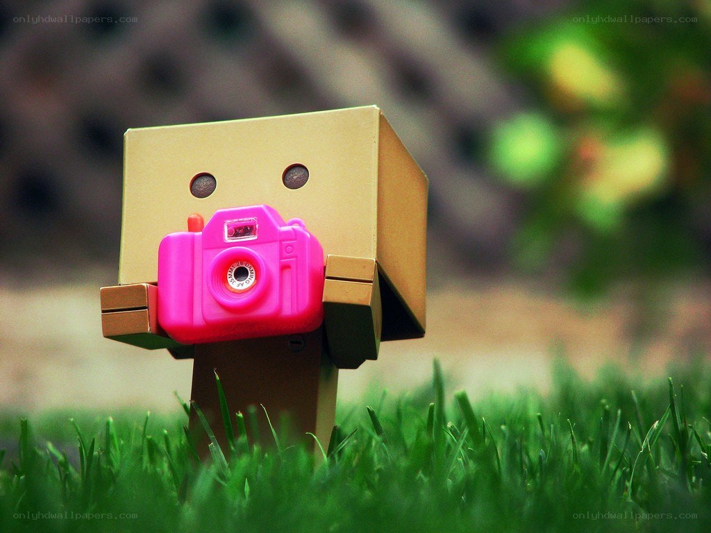 Danbo with pink camera