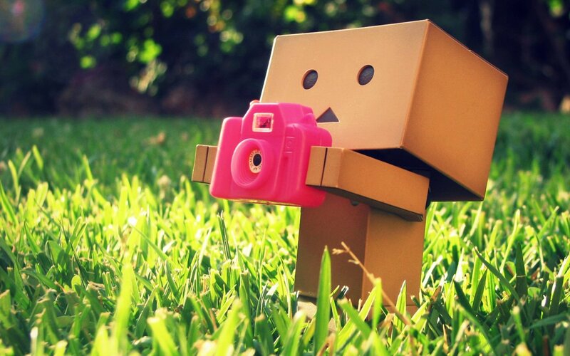 Danbo with Pink Camera — Green, Serene