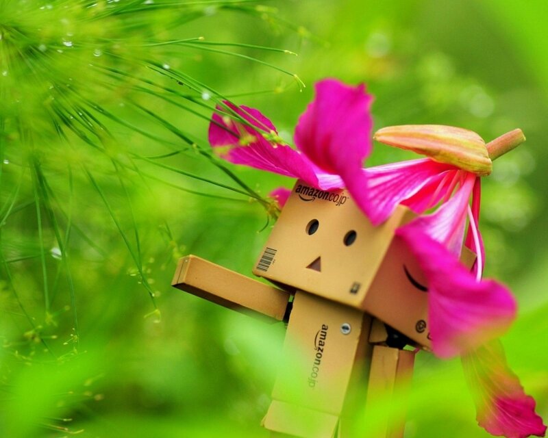 Danbo with pink flower
