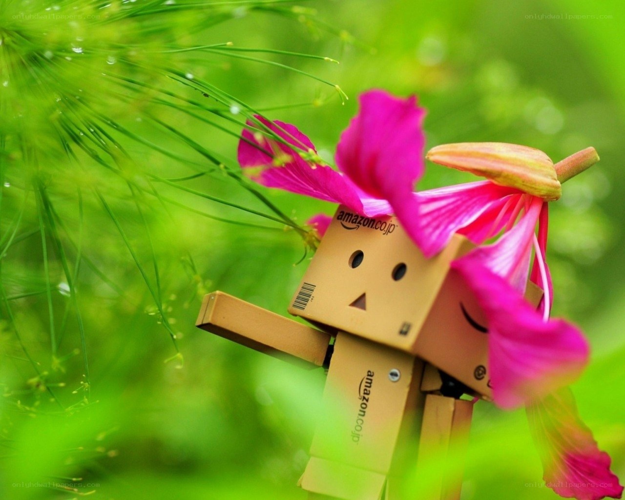 Danbo with pink flower