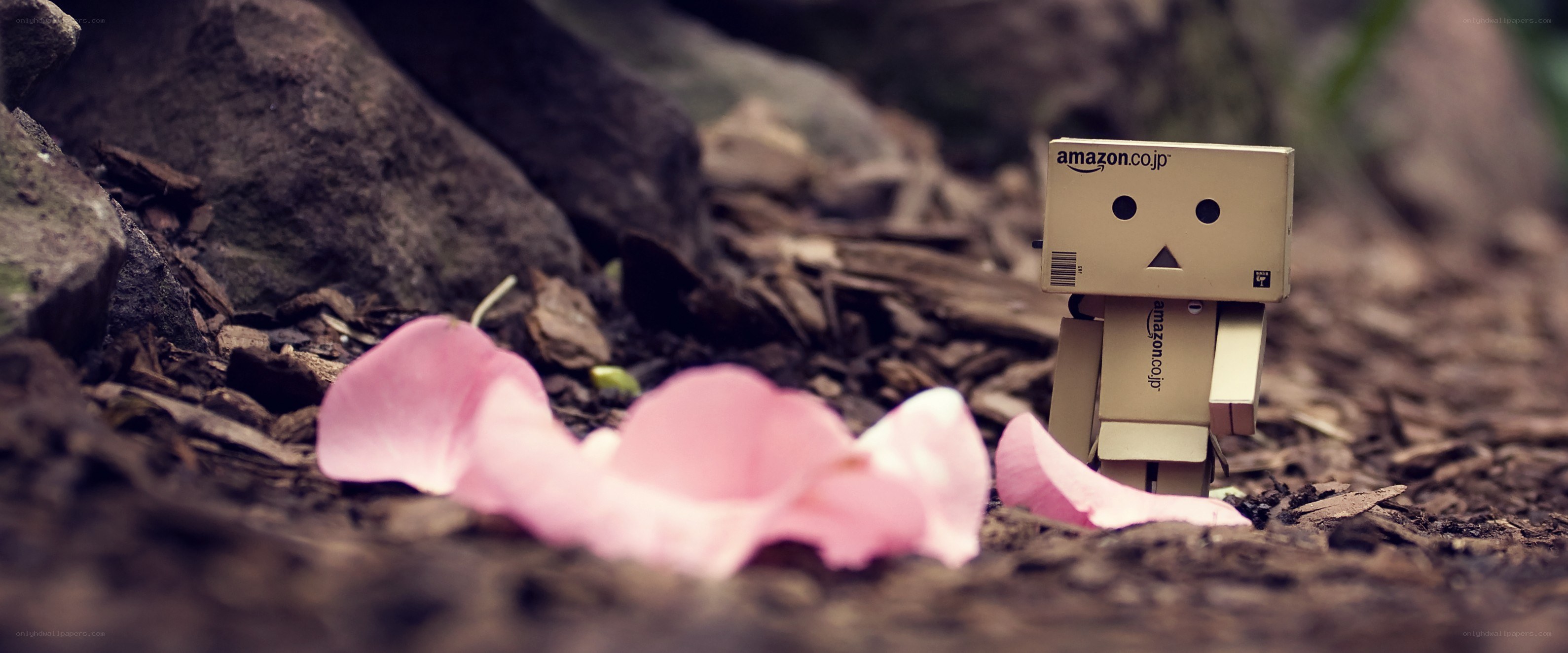 Danbo with pink petals