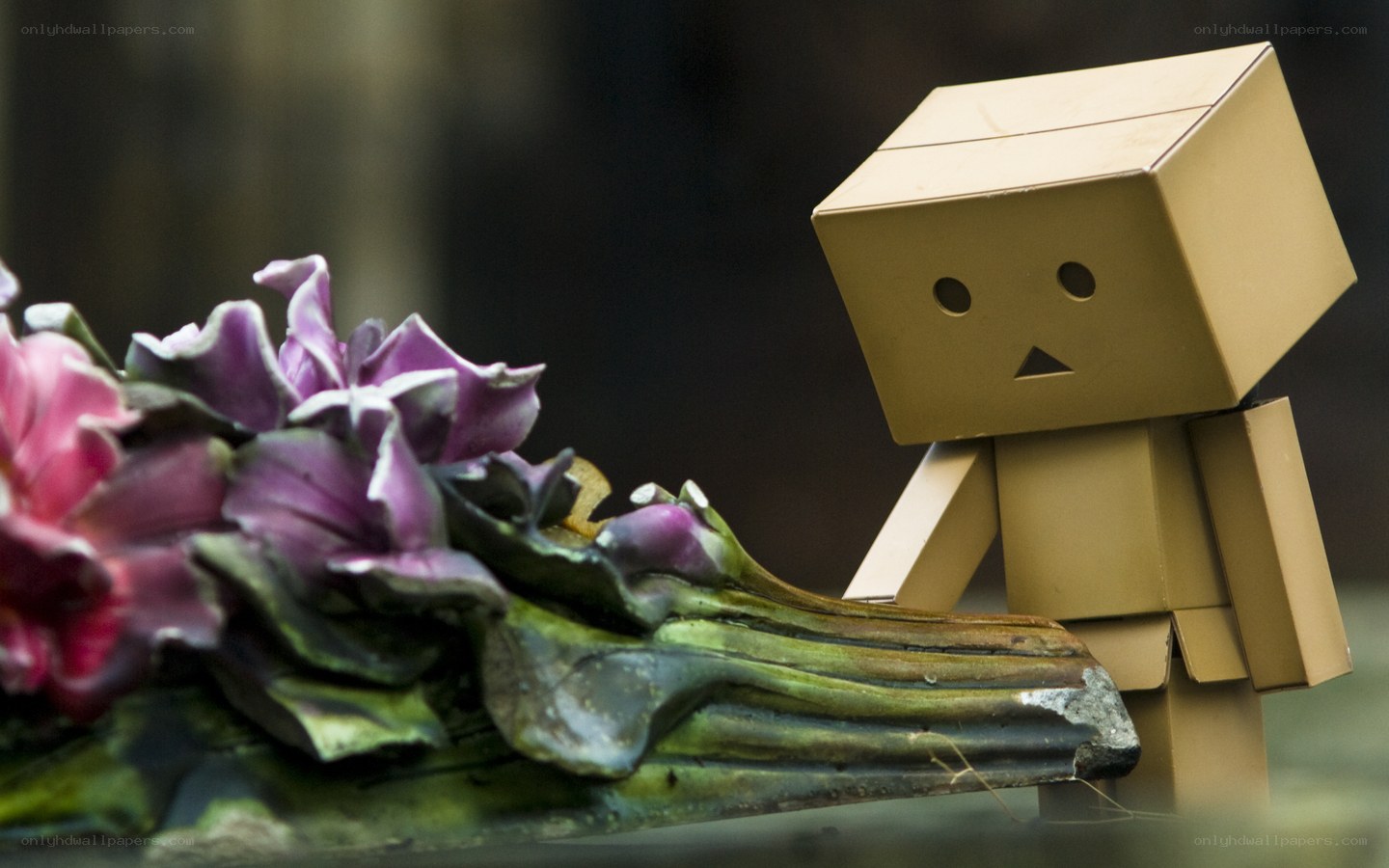 Danbo with purple flowers