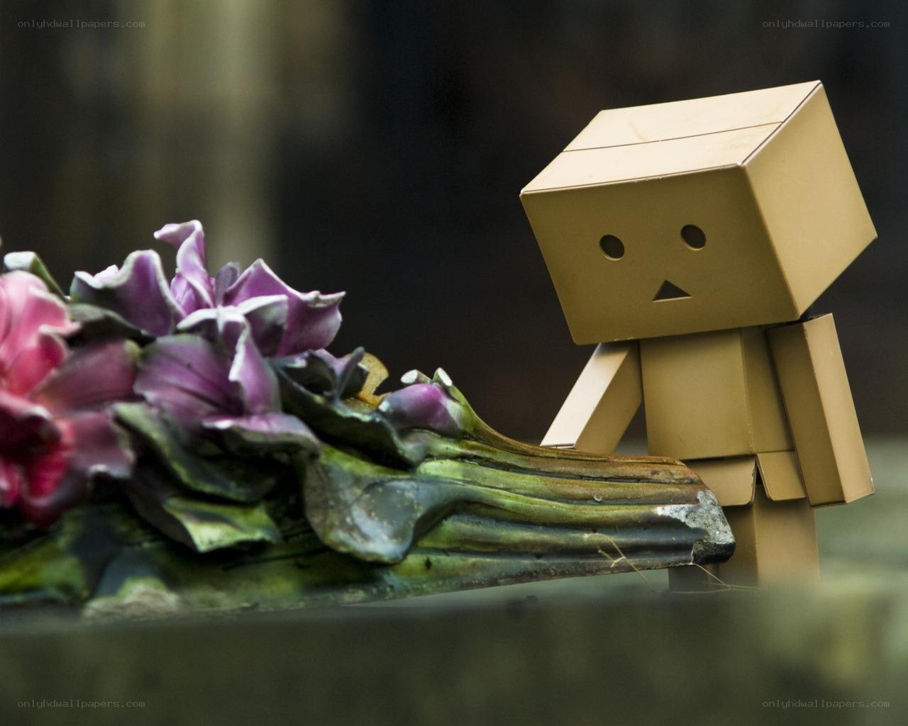 Danbo with purple flowers