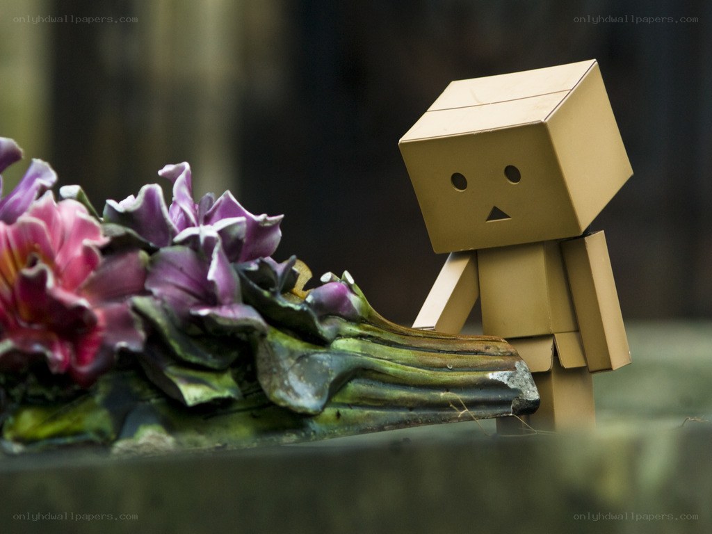 Danbo with purple flowers