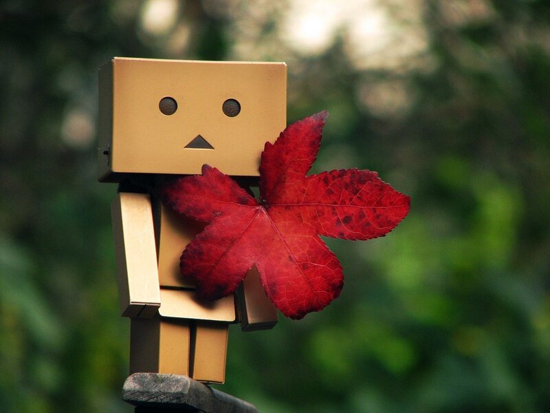Danbo with red leaf