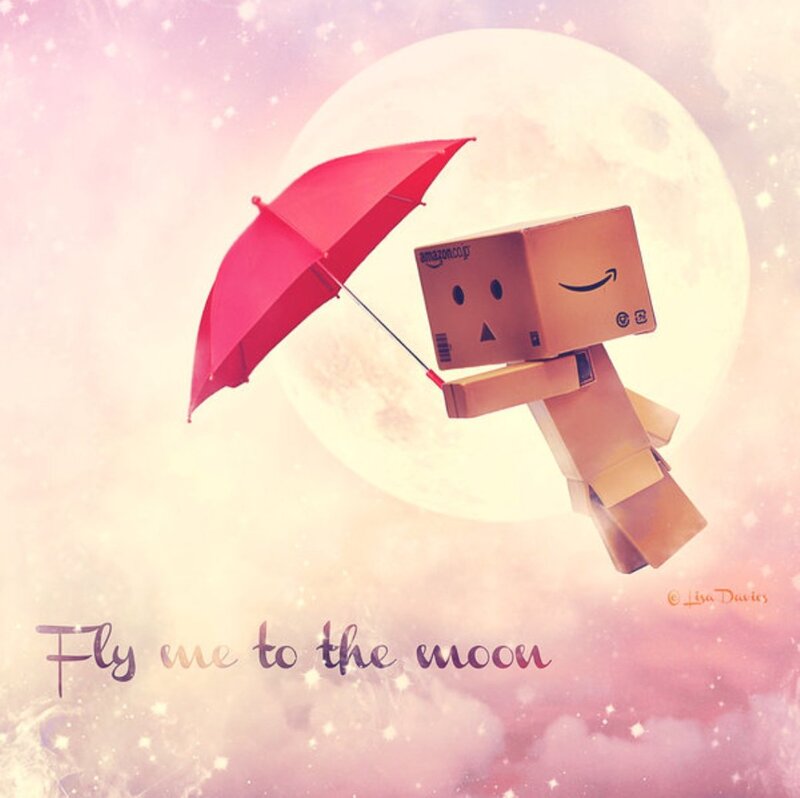 Danbo with Red Umbrella