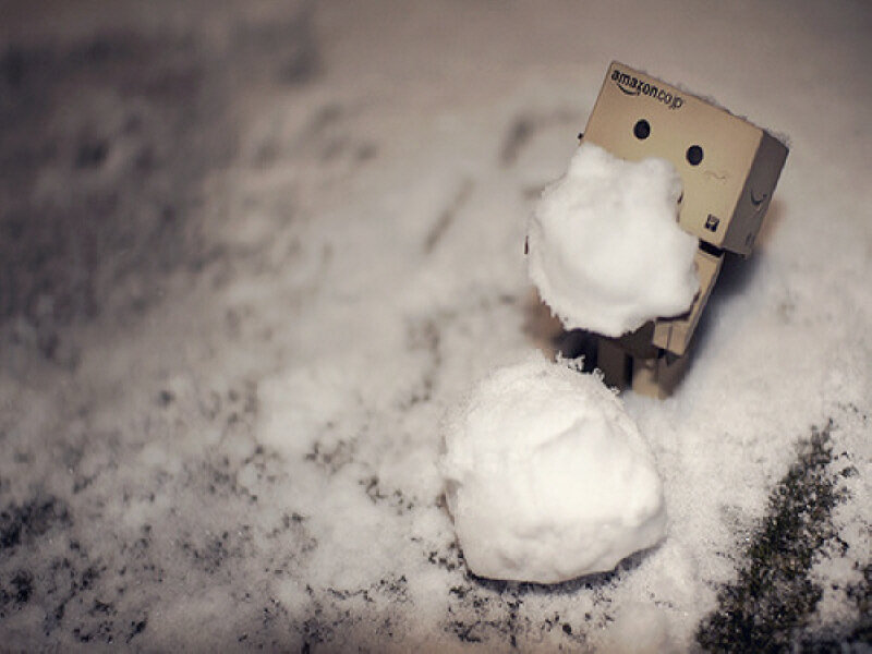 Danbo with snowballs
