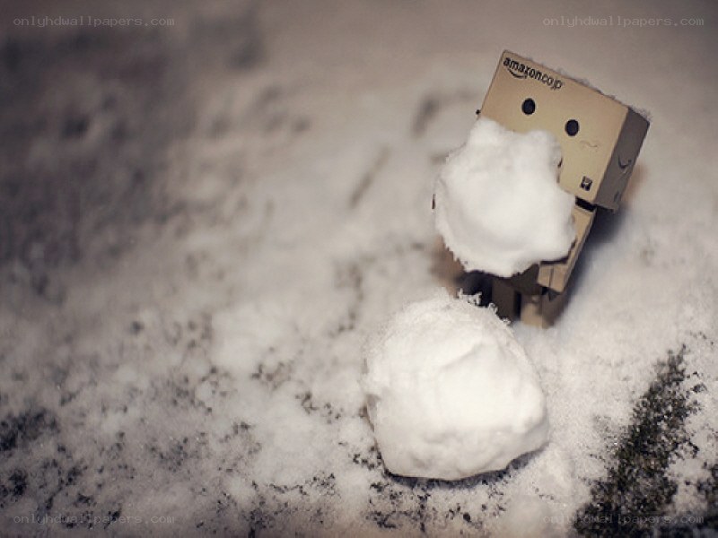 Danbo with snowballs