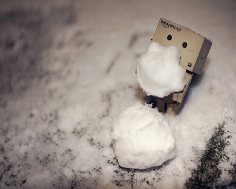 Danbo with snowballs