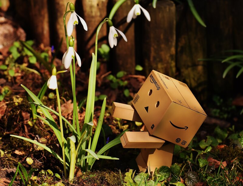 Danbo with snowdrops