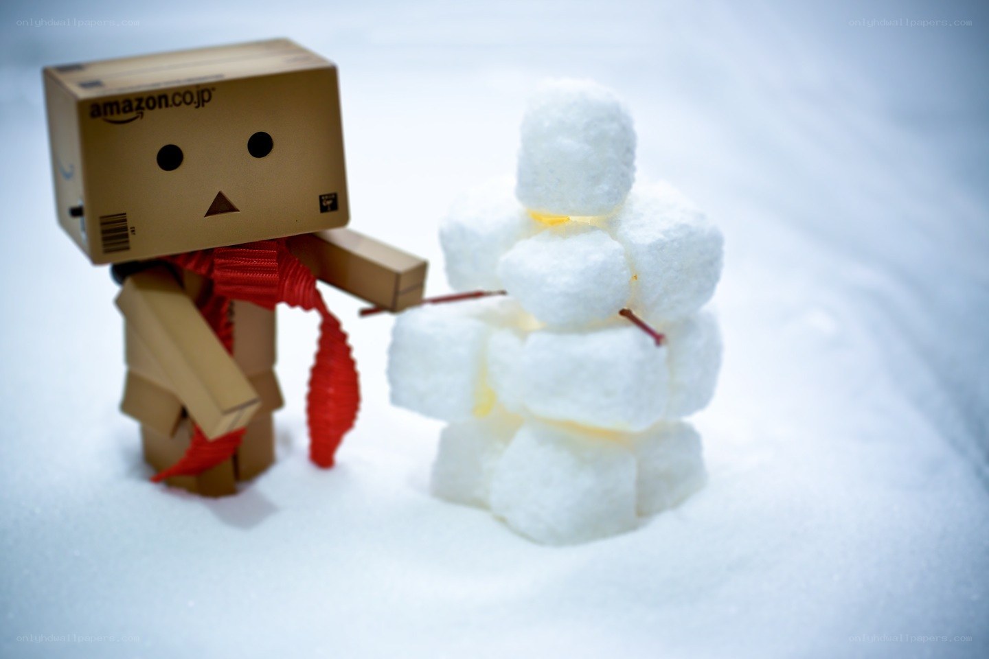 Danbo with snowman