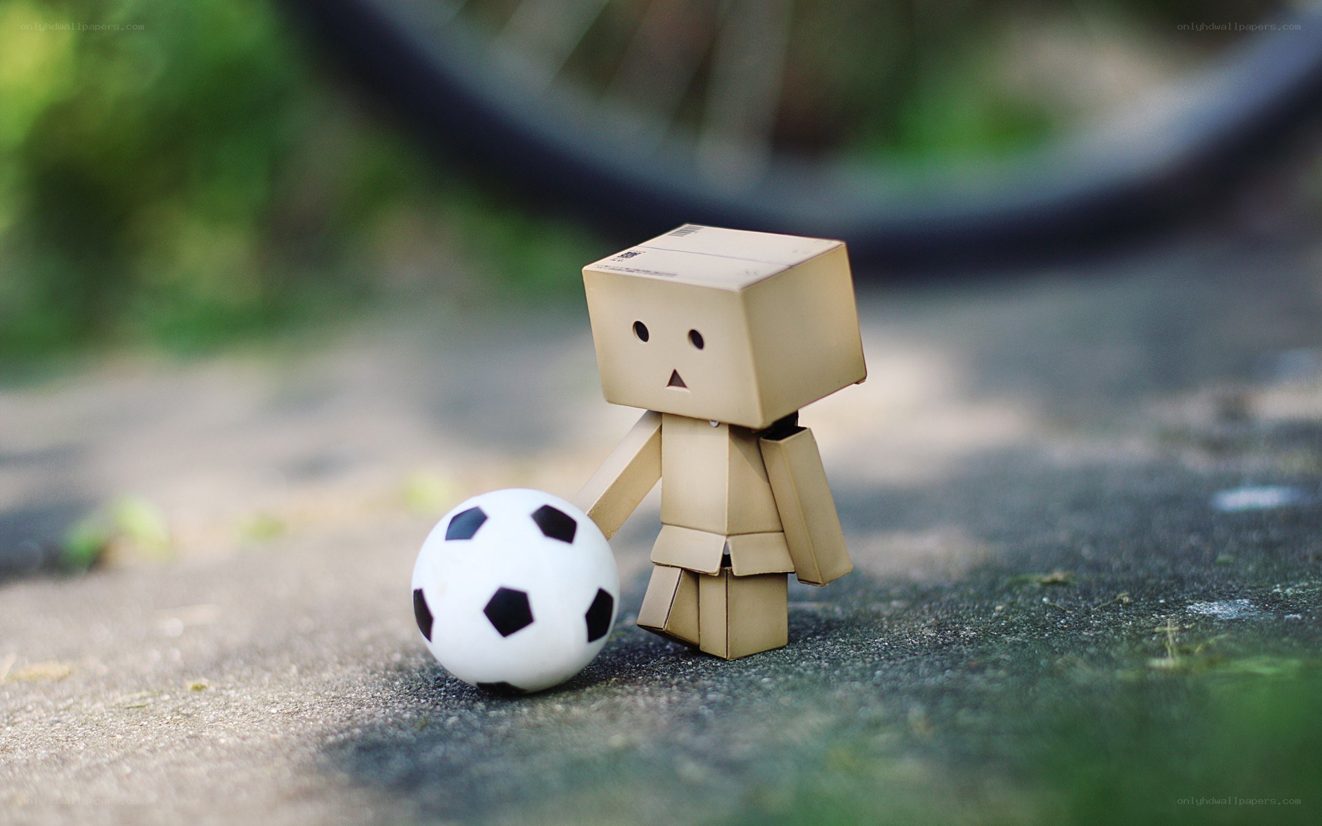 Danbo with soccer ball