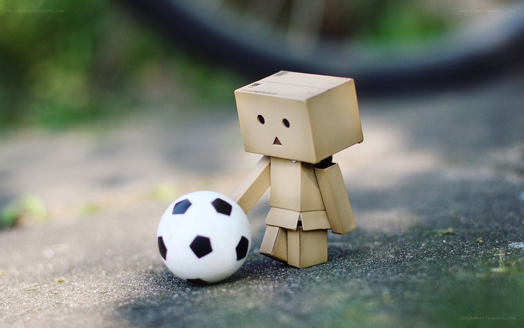 Danbo with soccer ball