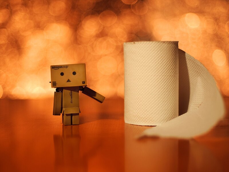 Danbo with toilet paper