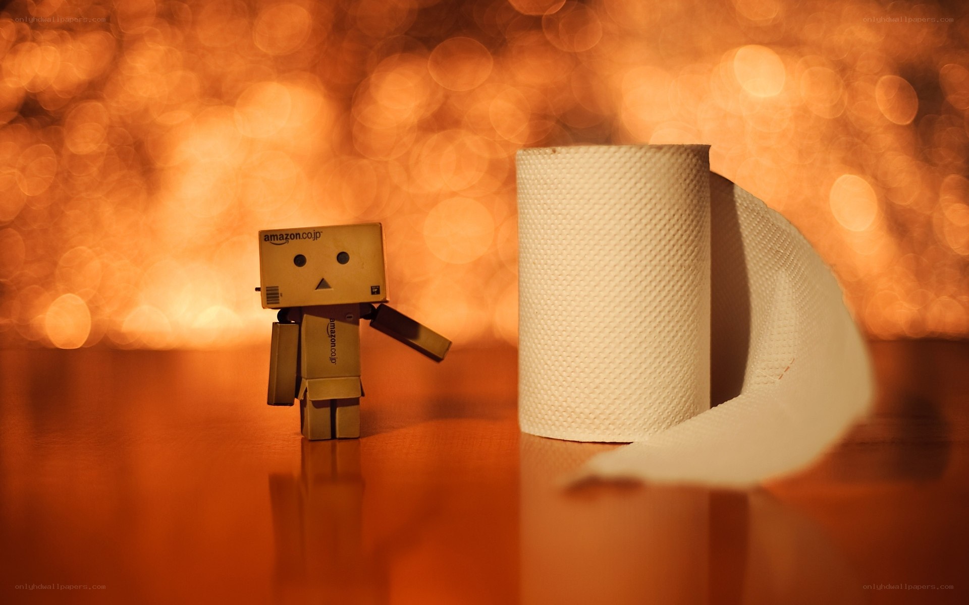 Danbo with toilet paper