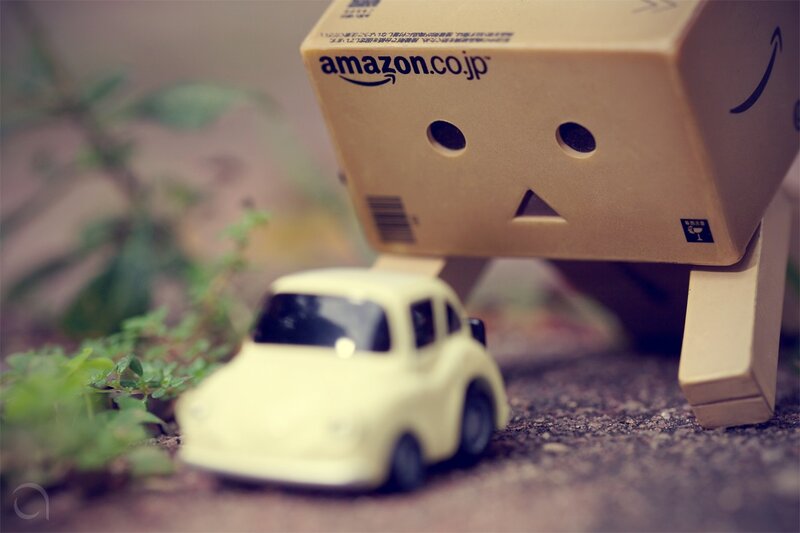 Danbo with Toy Car — Brown