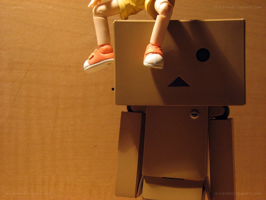 Danbo with toy figure