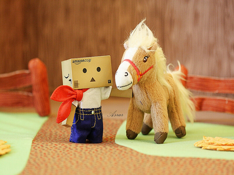 Danbo with Toy Horse