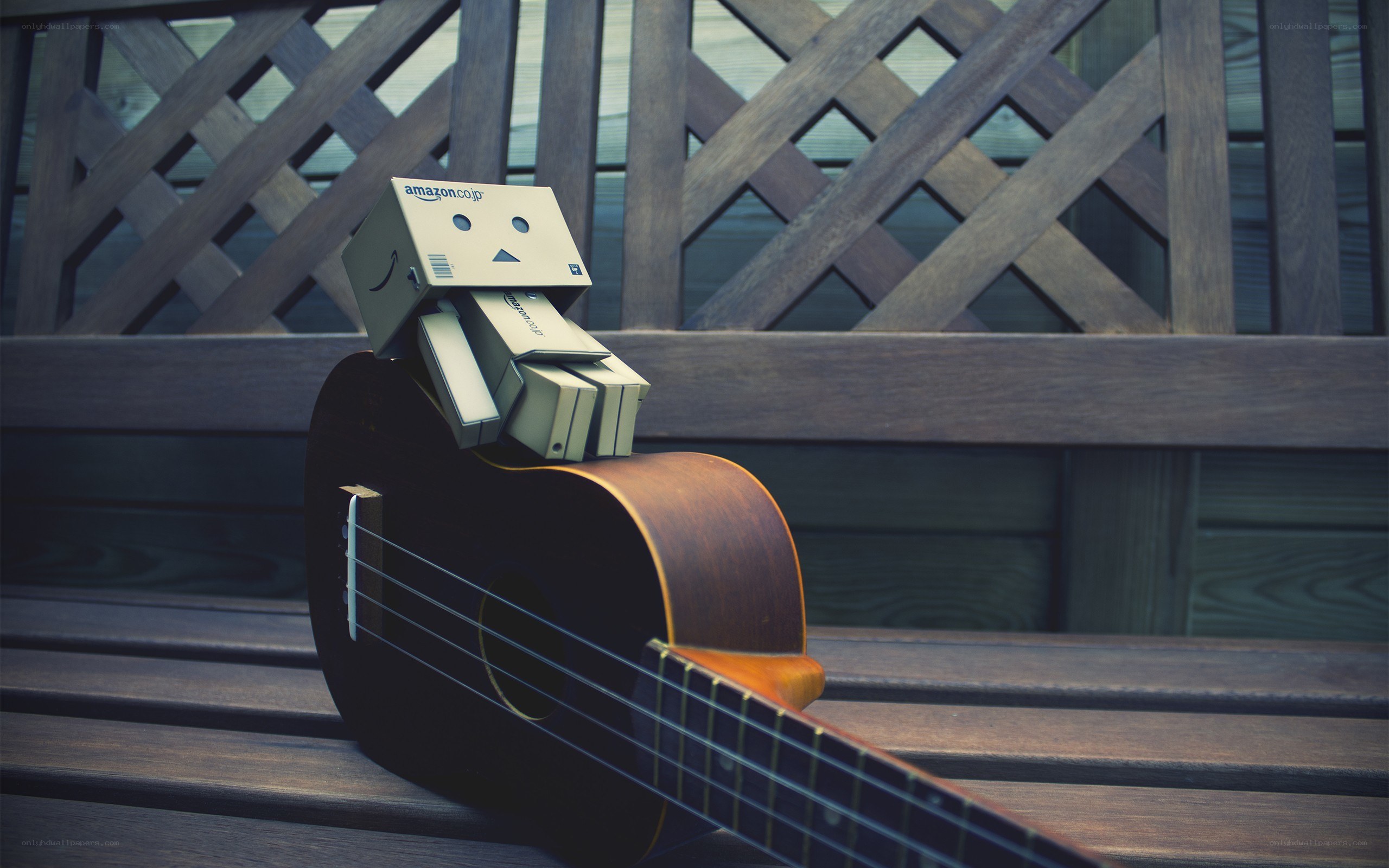 Danbo with ukulele