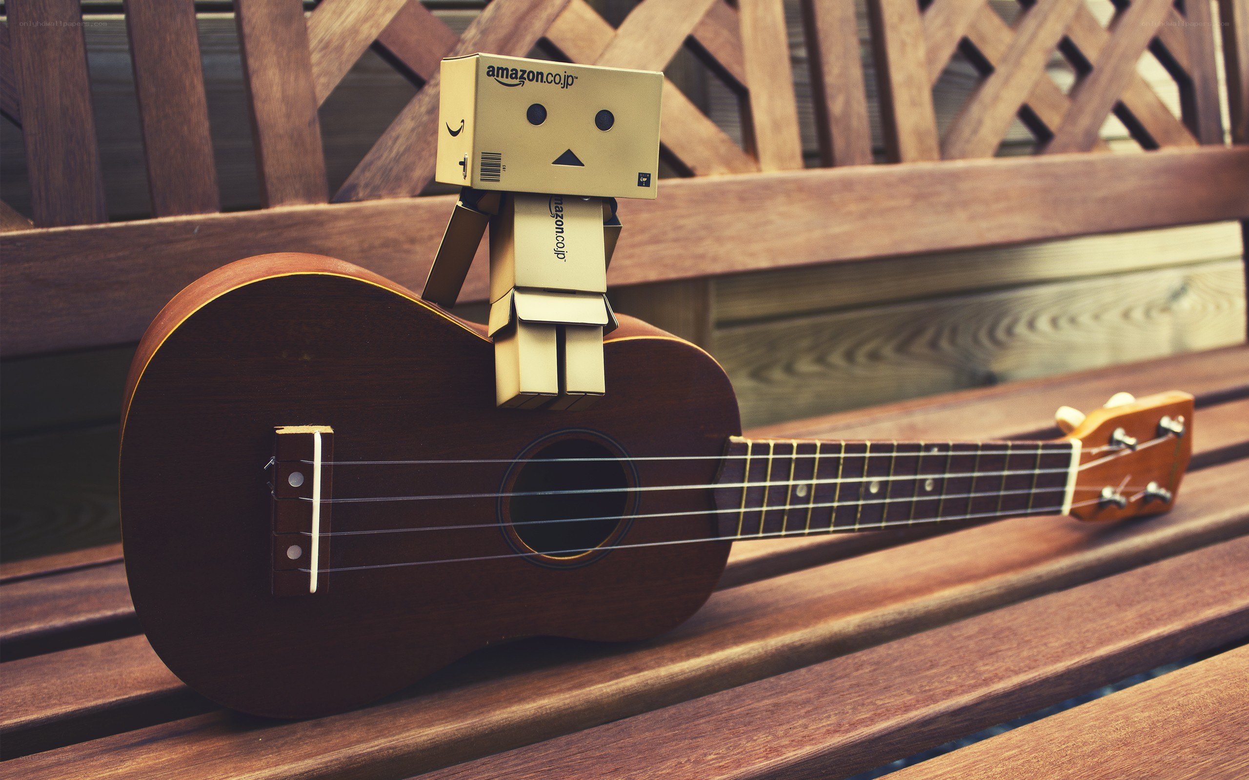 Danbo with ukulele on bench