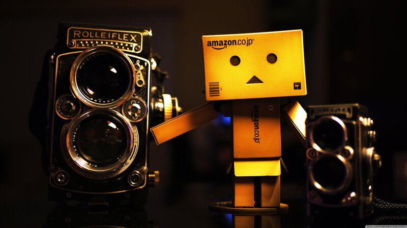 Danbo with vintage cameras