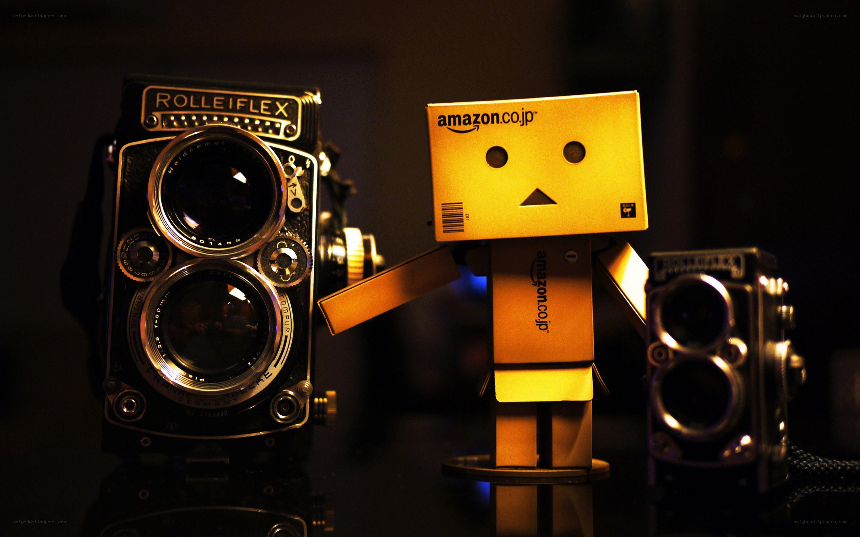 Danbo with vintage cameras