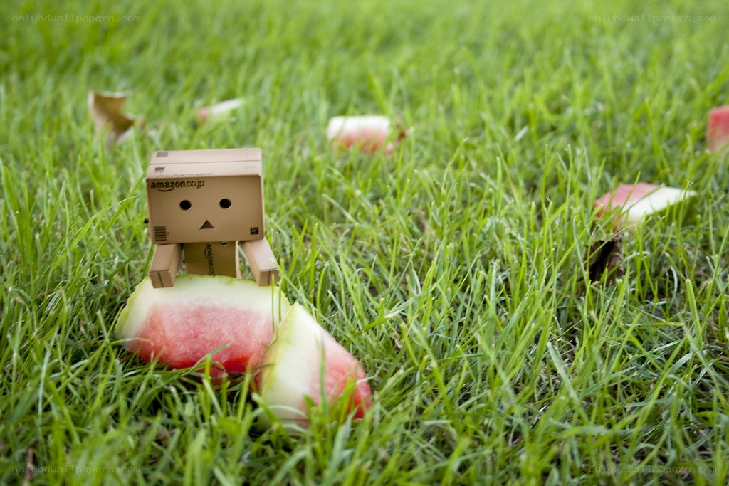 Danbo with watermelon slice