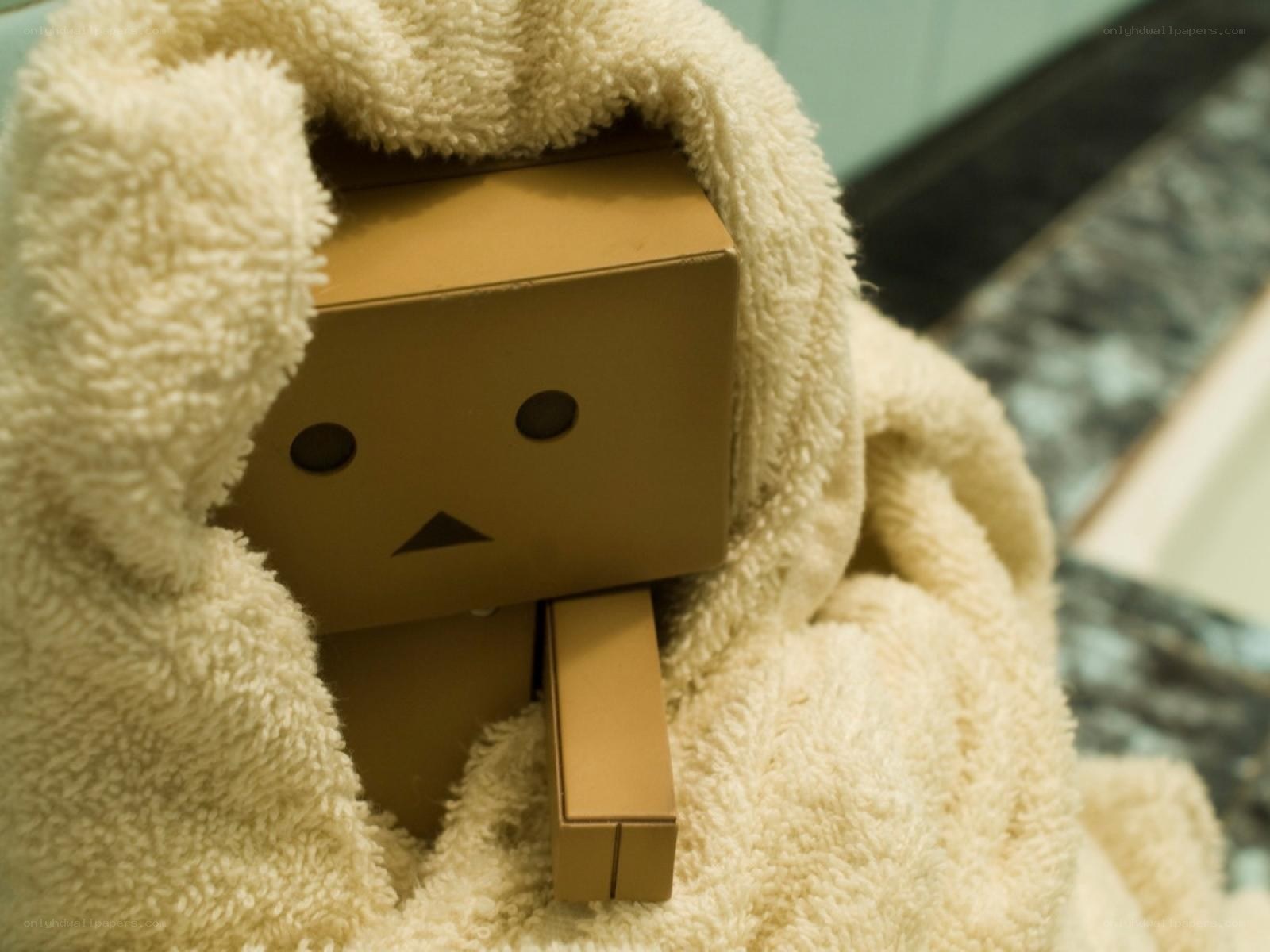 Danbo wrapped in towel