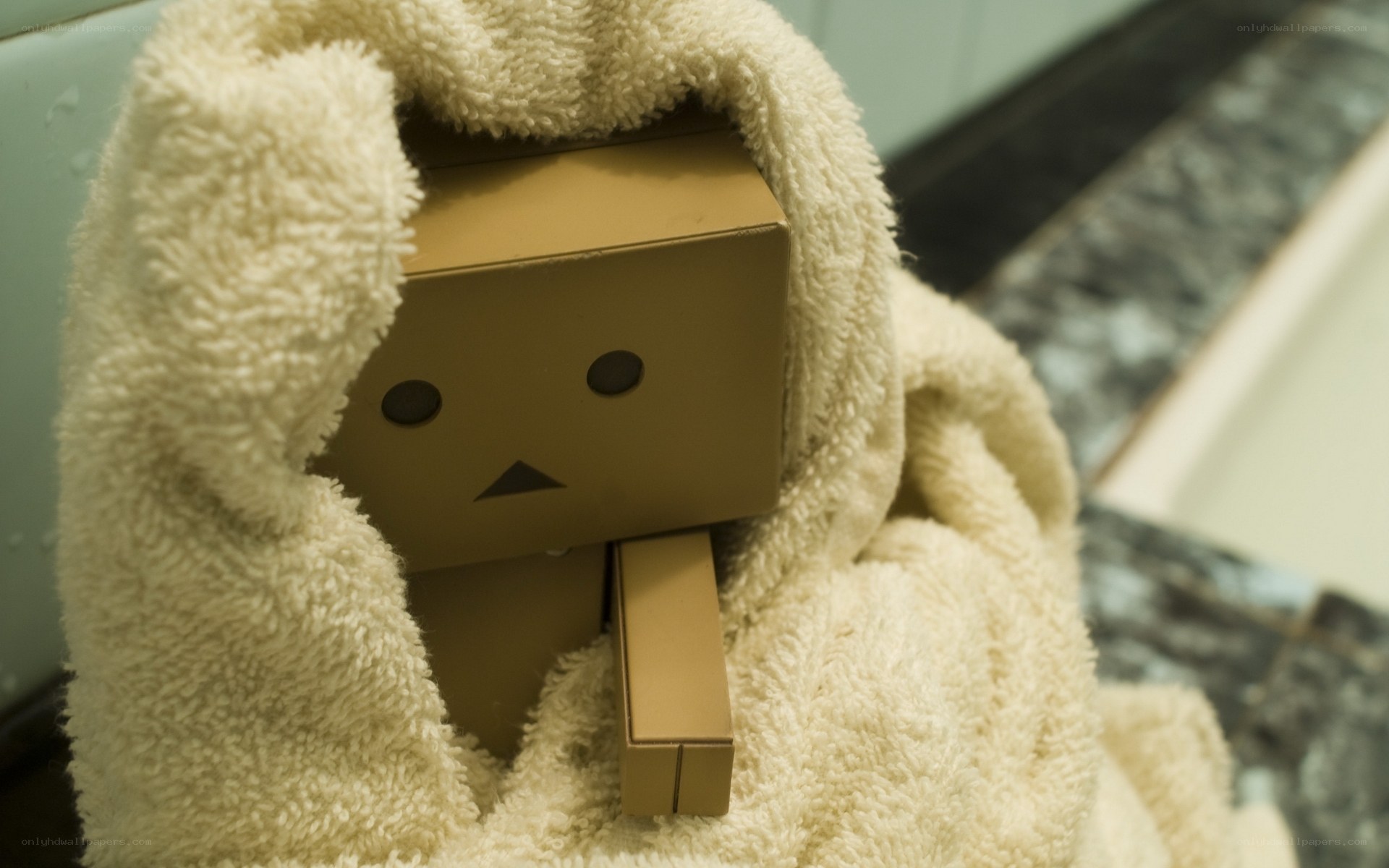 Danbo wrapped in towel
