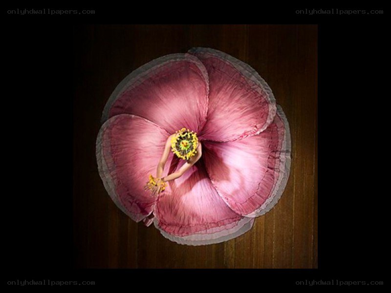 dancer in a flower costume