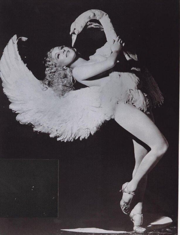 dancer in swan costume