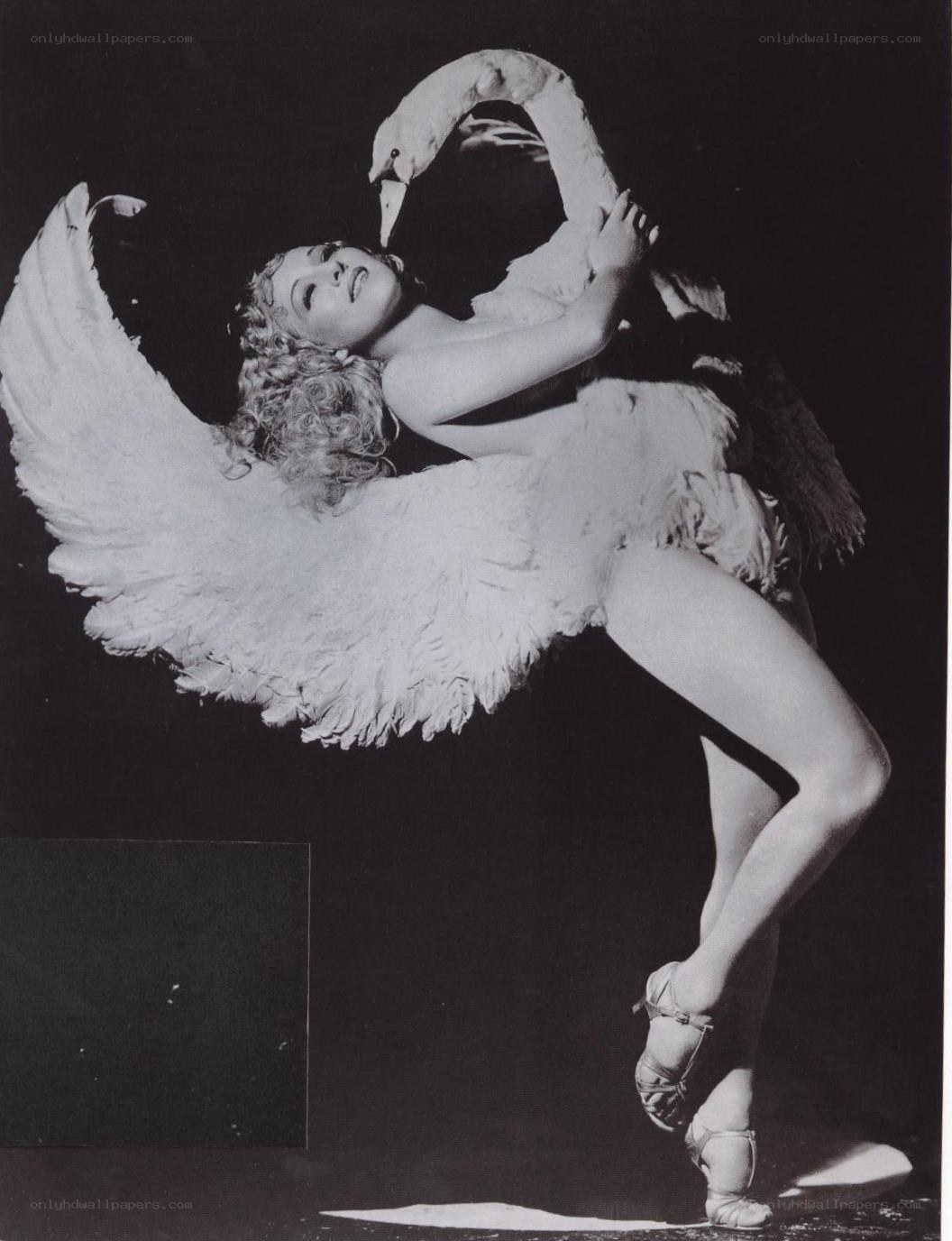 dancer in swan costume