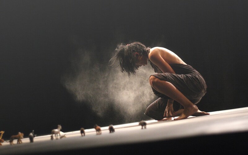 Dancer on stage with animals