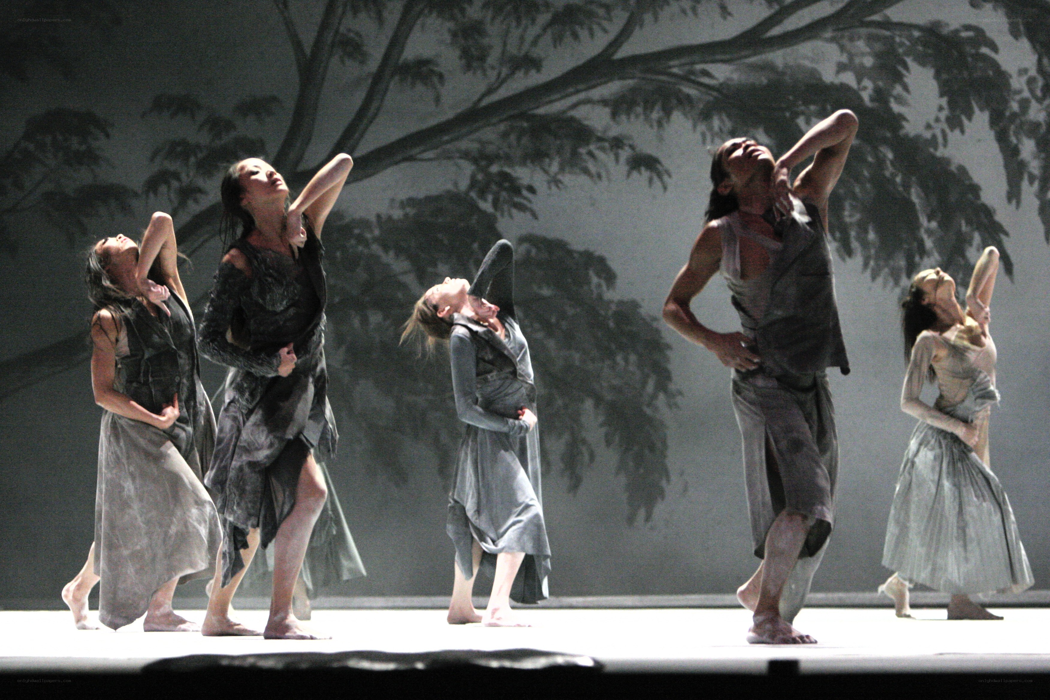 Dancers on a stage with tree backdrop