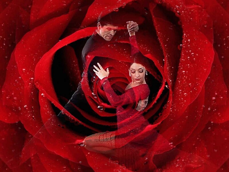 Dancing Couple in Rose