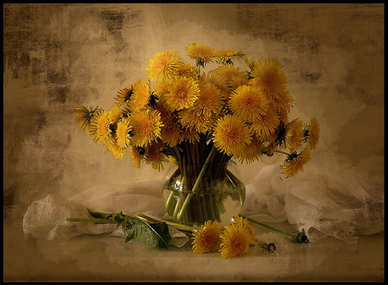 Dandelion bouquet in a vase